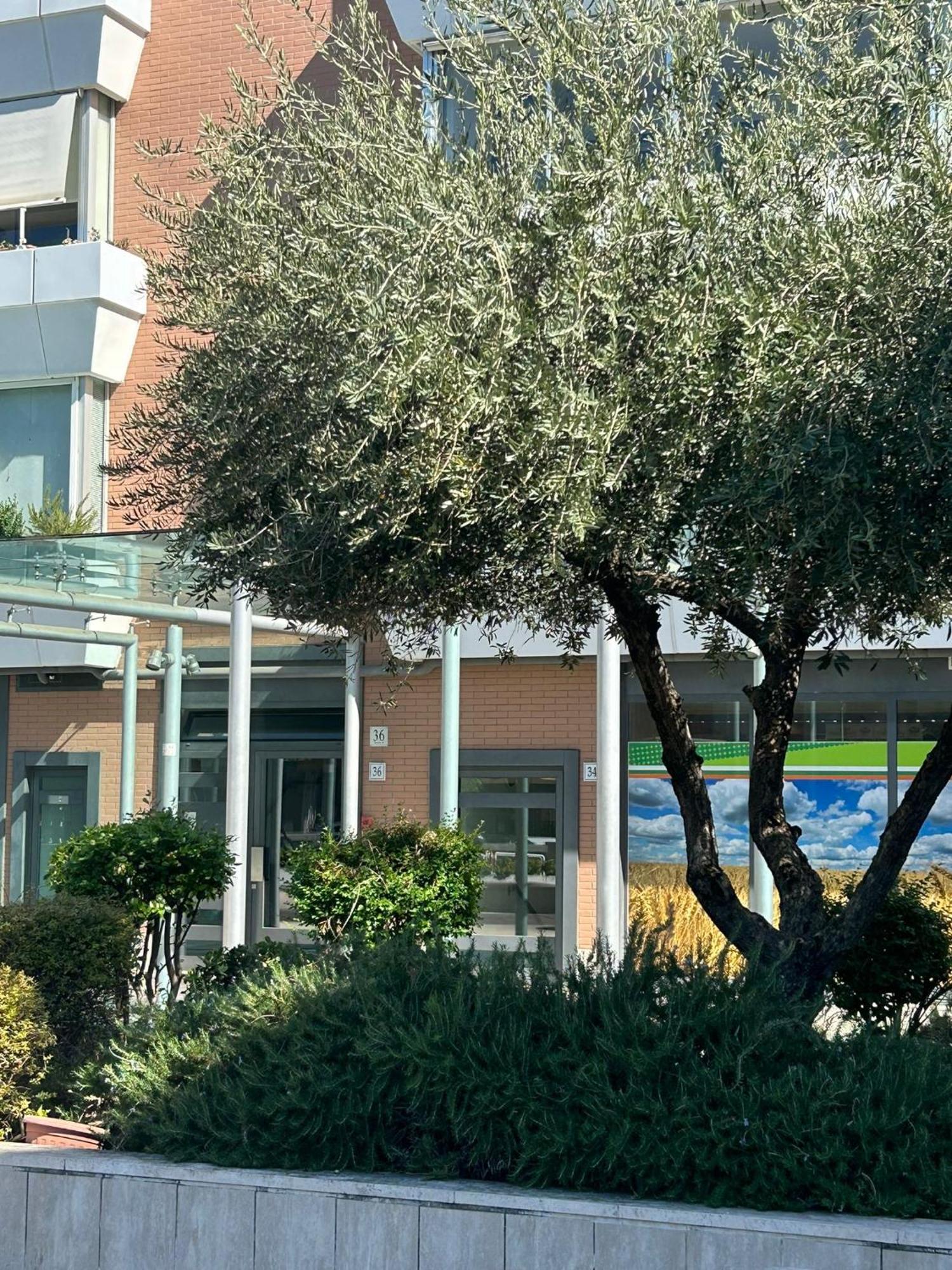 Dina Suite Rom Exteriör bild