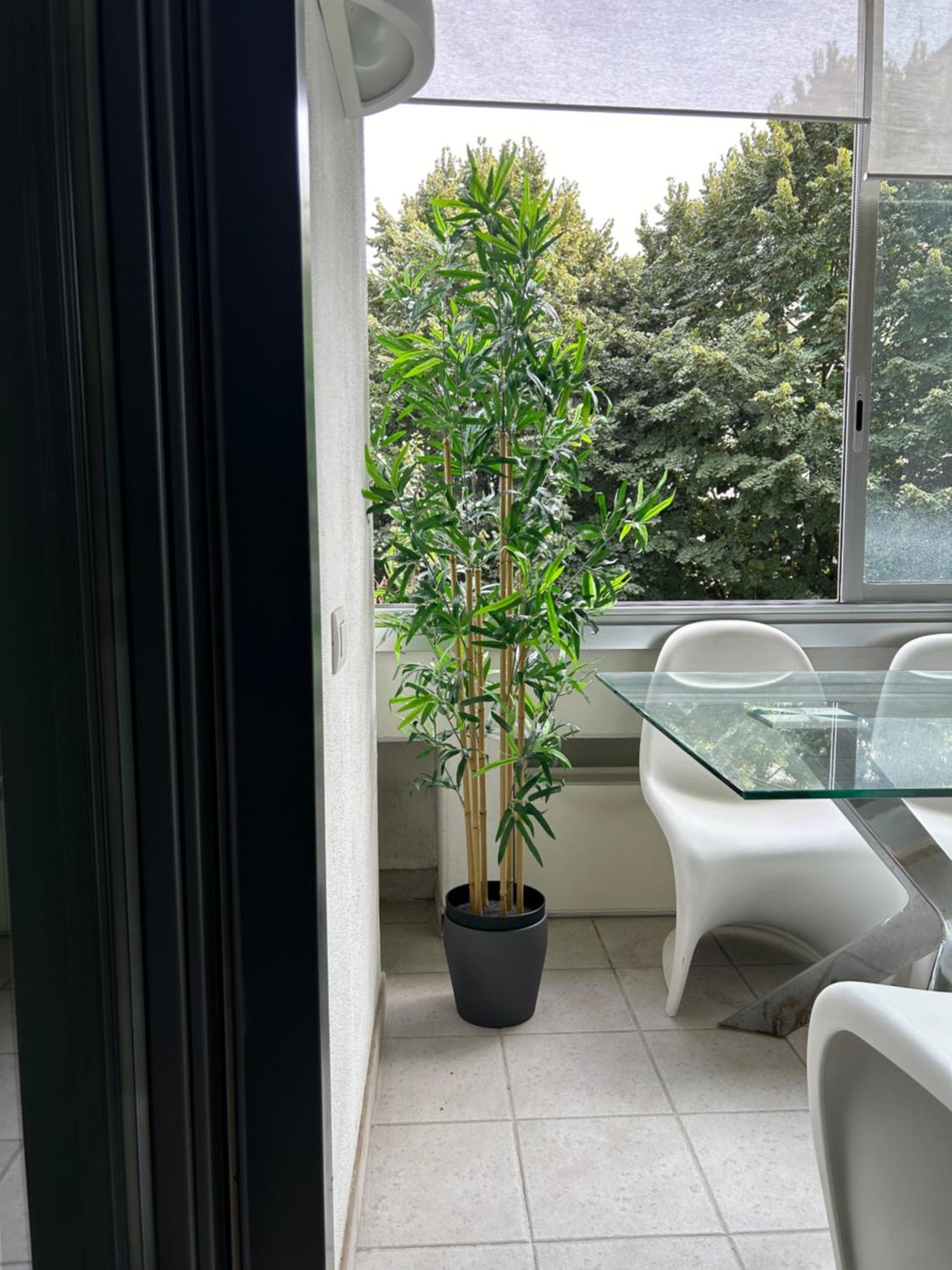 Dina Suite Rom Exteriör bild
